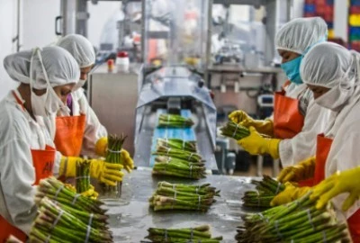 food packaging food packaging